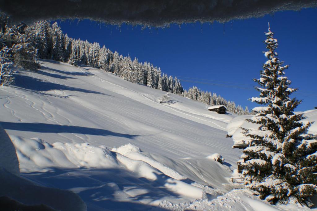 Hotel Schoene Aussicht Kartitsch Chambre photo